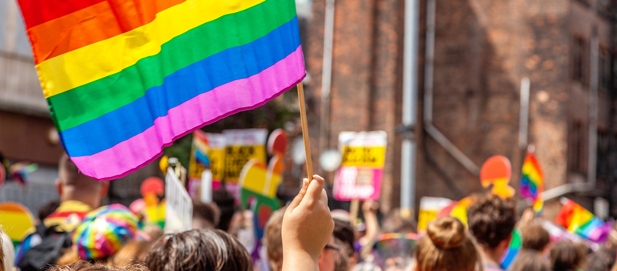 rent a tree for you pride parade